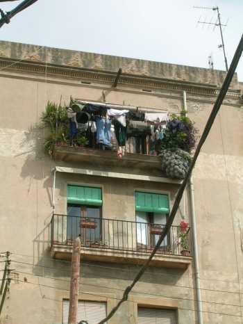 Balcony with Plants
